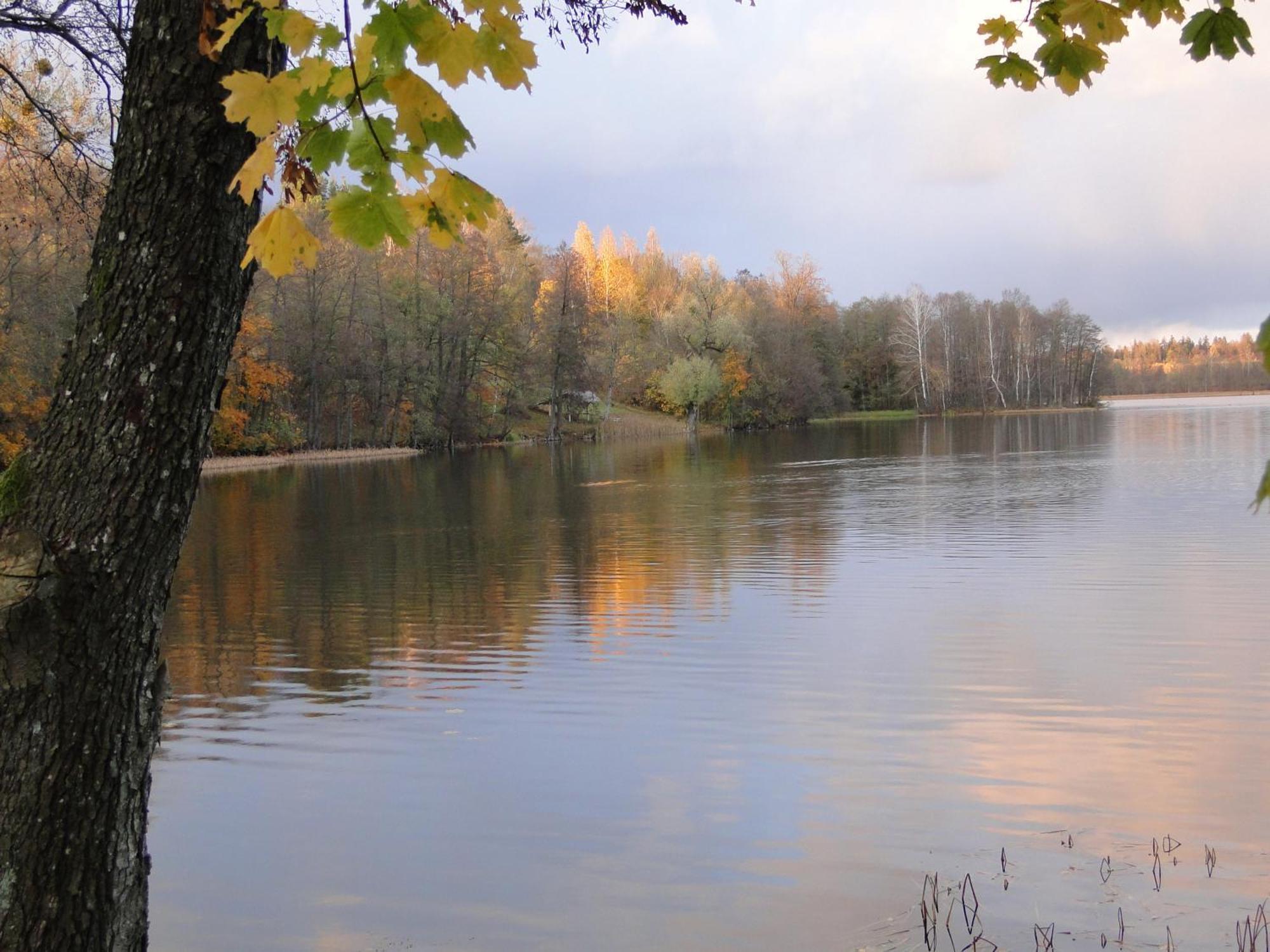 Agroturystyka Zywe Kruklanki Extérieur photo