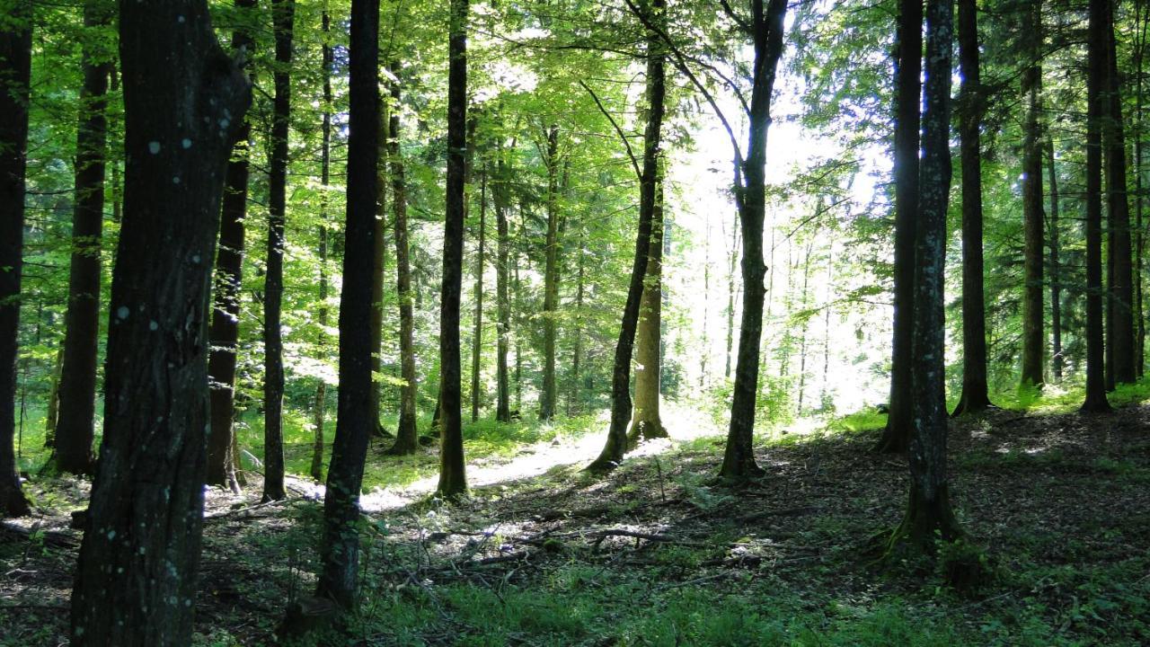 Agroturystyka Zywe Kruklanki Extérieur photo