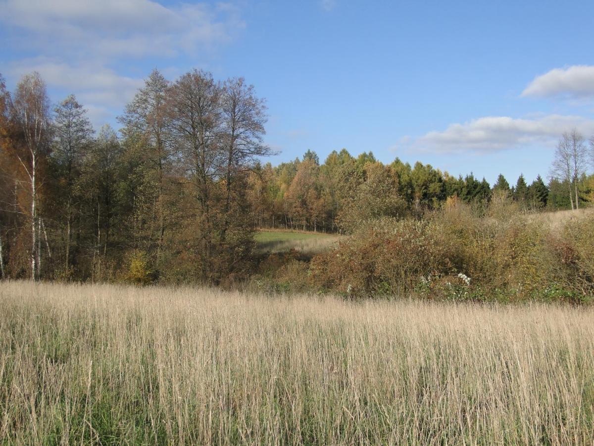 Agroturystyka Zywe Kruklanki Extérieur photo