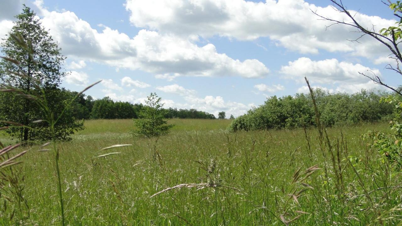 Agroturystyka Zywe Kruklanki Extérieur photo