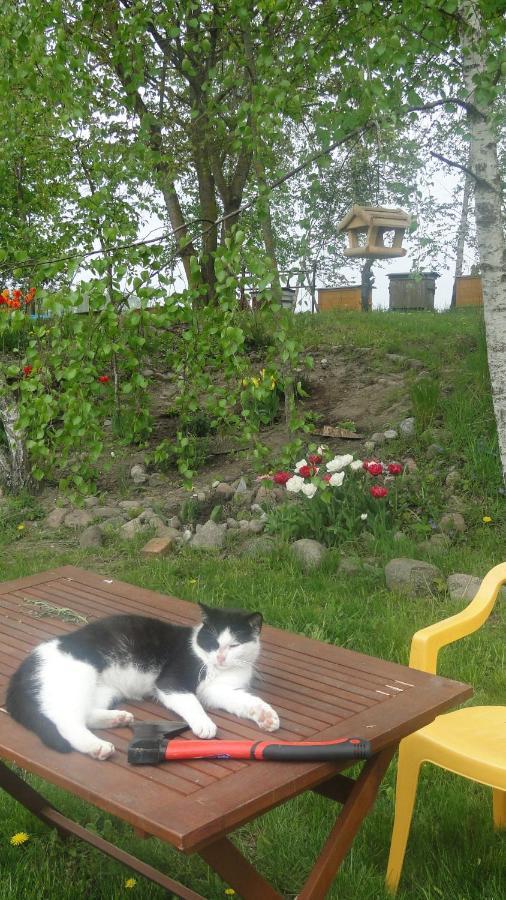 Agroturystyka Zywe Kruklanki Extérieur photo