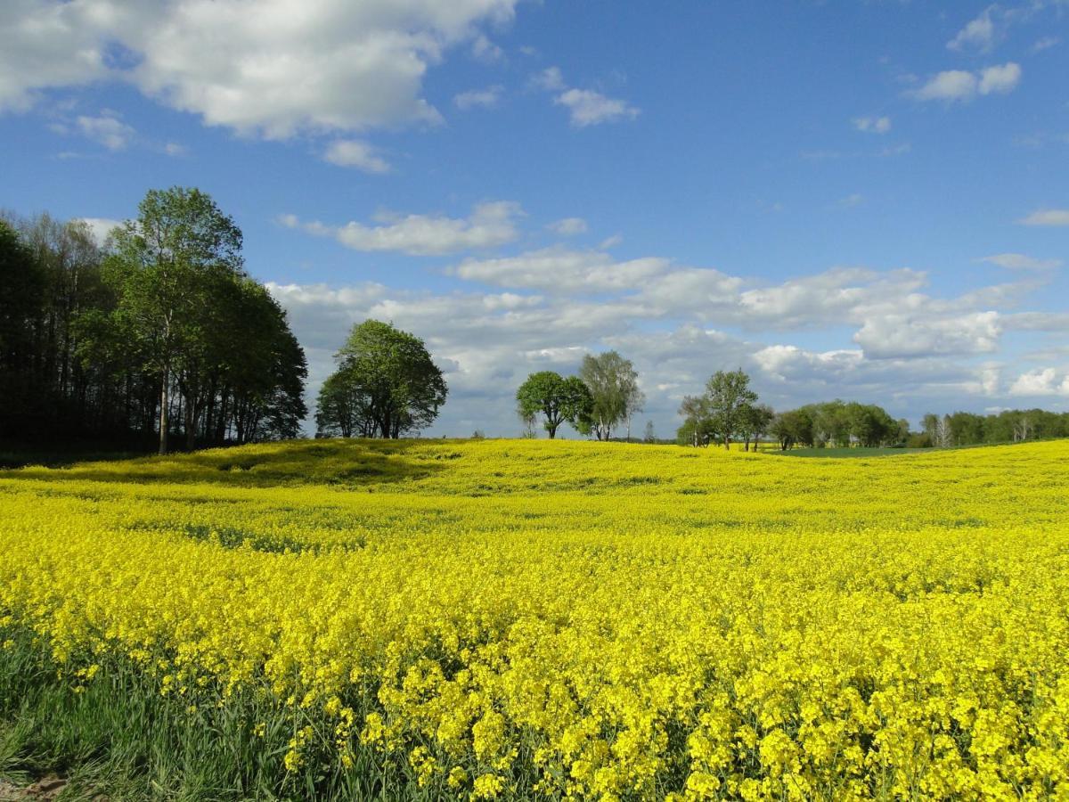 Agroturystyka Zywe Kruklanki Extérieur photo