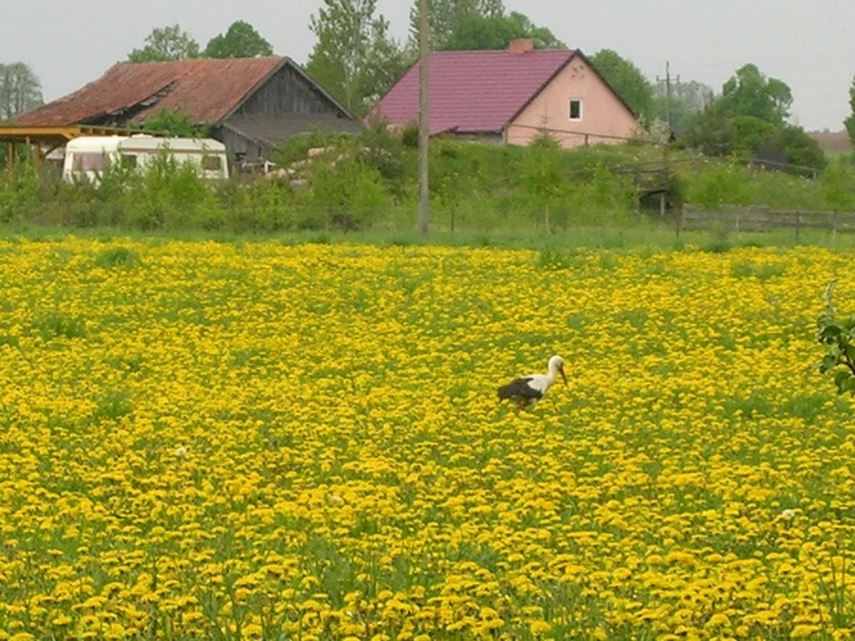 Agroturystyka Zywe Kruklanki Extérieur photo